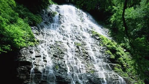 节能高效全自动